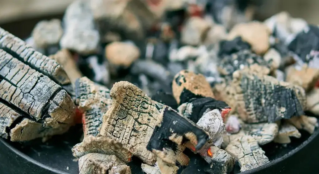 Is Washing Cast Iron Really Forbidden? Myth vs. Reality