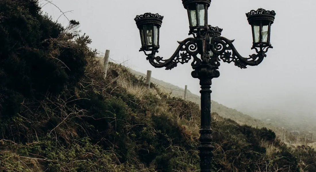 Ornate, multi-arm street lamp on a foggy hillside