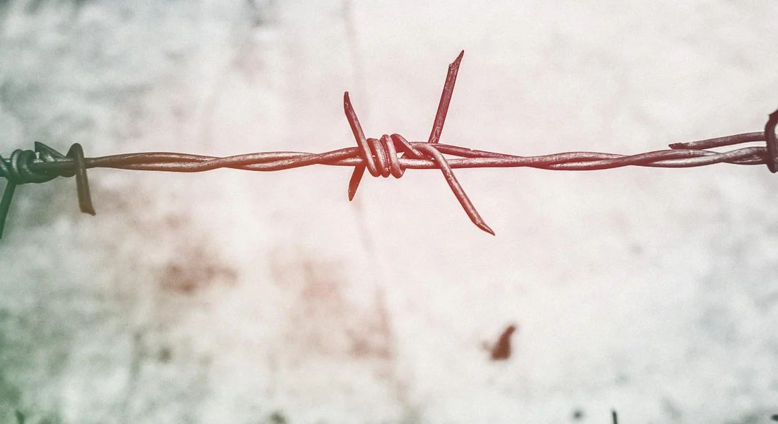 Close-up of rusted barbed wire strands against a pale, out-of-focus background.