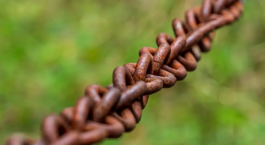 Which Cast Iron Rust Removal Method Should You Use?